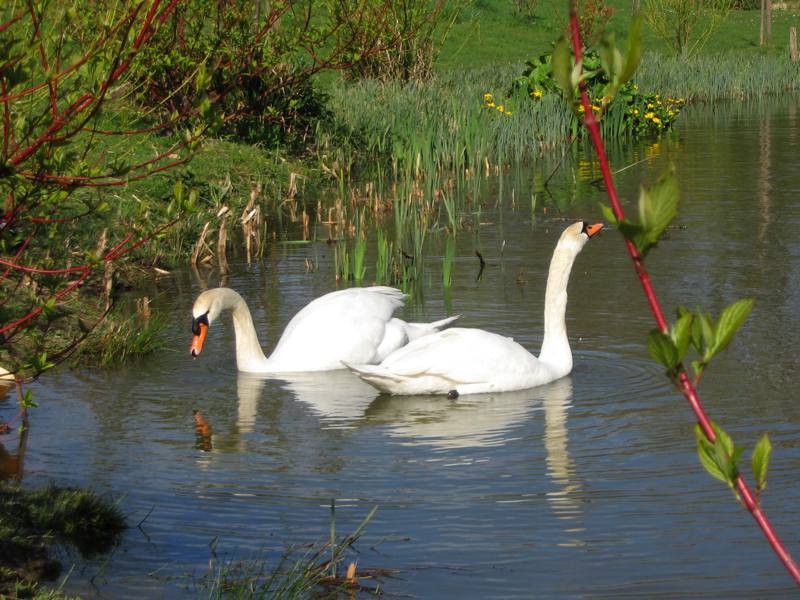 Westport Farm Cottages3